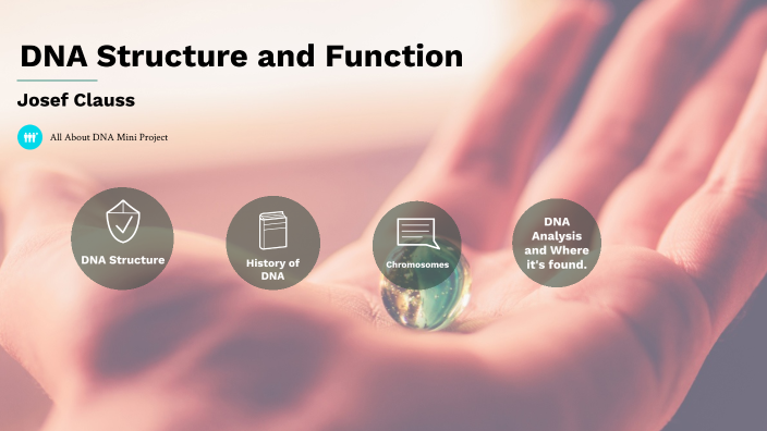 All About DNA Mini Project by JOSEF CLAUSS on Prezi