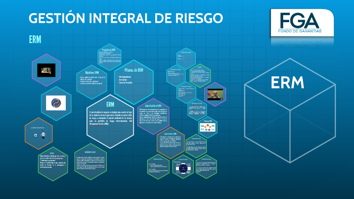 GestiÓn Integral De Riesgo By Diego Soto
