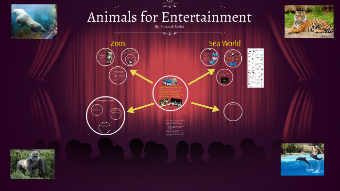 animals for entertainment essay