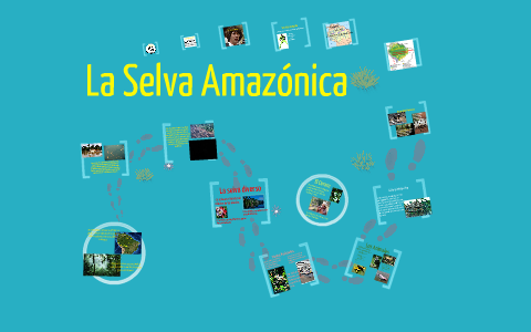 La Selva Amazónica by Molly Stukenholtz on Prezi