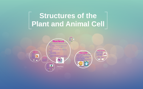 Structures of the Plant and Animal Cell by lexie leszcynski on Prezi