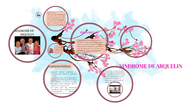 Sindrome Arquelin By Diana Gonzalez On Prezi Next