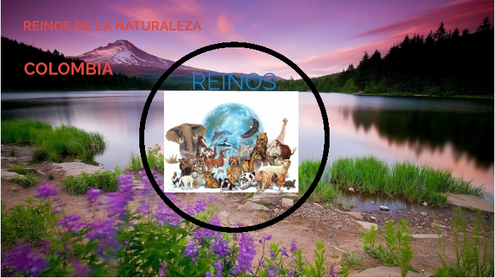REINOS DE LA NATURALEZA by Miguel Arias on Prezi