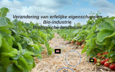 Verandering van erfelijke eigenschappen by Rosa van Ree