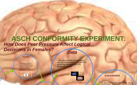 asch conformity experiment adalah