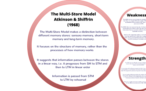 The Multi Store Model of memory by Mrs Owen on Prezi