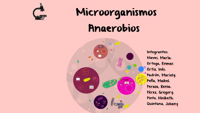 Microorganismos Anaerobios by Enmar ortega on Prezi