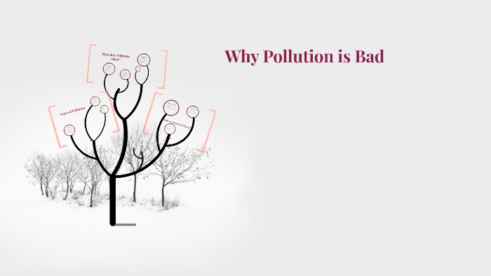 Why Pollution Is Bad By William Bushie 6702