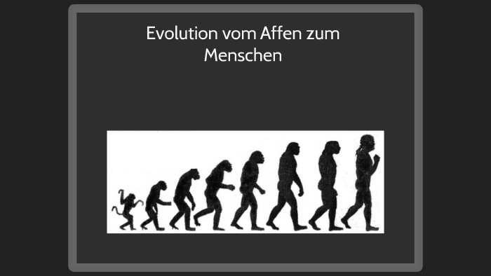 Evolution vom Affen zum Menschen by Daniel Schulz on Prezi