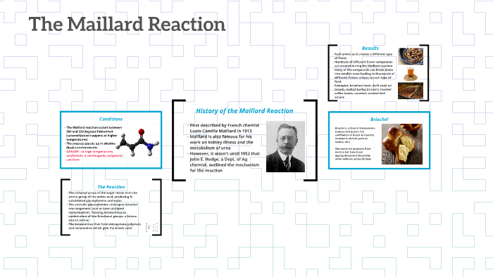 The Maillard Reaction By Henri Stern