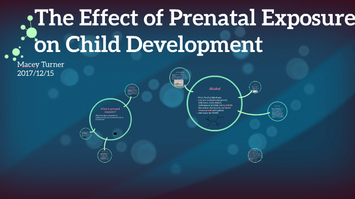 The Effect Of Prenatal Exposure On Child Development By Macey Turner On ...