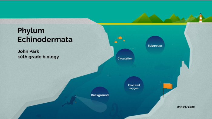 Phylum Echinodermata by Chanha Park on Prezi