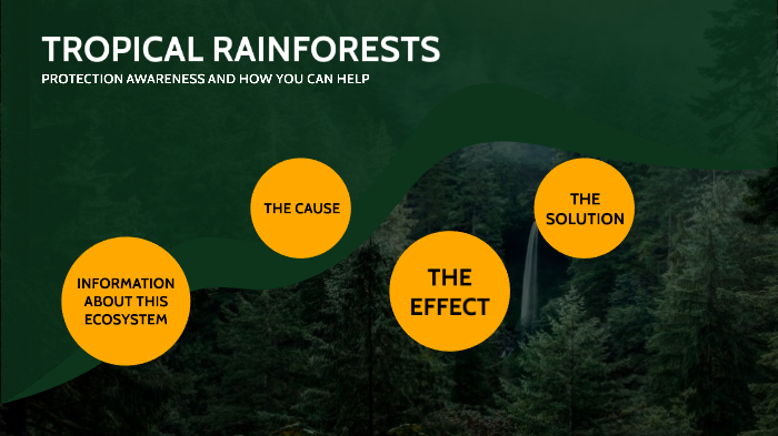 PROTECT TROPICAL RAINFORESTS by ADRIAN MARTINEZ on Prezi