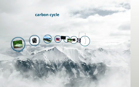 Carbon Cycle by dylan ouellette on Prezi