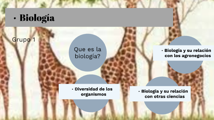 DIVERSIDAD DE LOS ORGANISMOS by roger franco