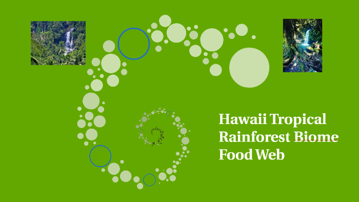 Hawaii Tropical Rainforest Biome by Brenda Smith on Prezi