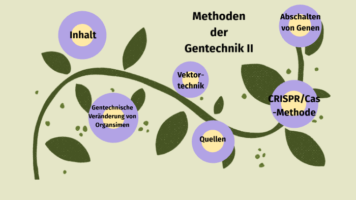 Methoden Der Gentechnik I By Anna Tran On Prezi