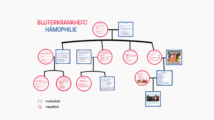 Bluterkrankheit / Hämophilie By Alena Graf On Prezi