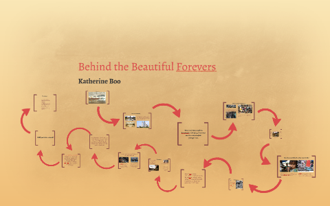 Behind The Beautiful Forevers by becca walshin