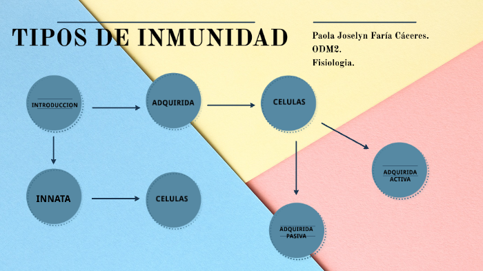 cuadro sinoptico de tipos de inmunidad by paola faria on Prezi