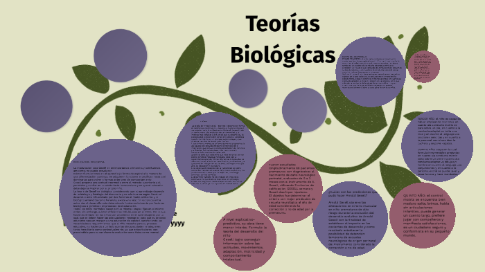 Teorias Biologicas By Rosa Lilia Purata Perez 5131