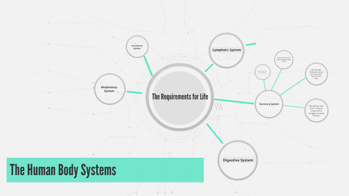 The Human Body Systems by Cindy Nguyen on Prezi