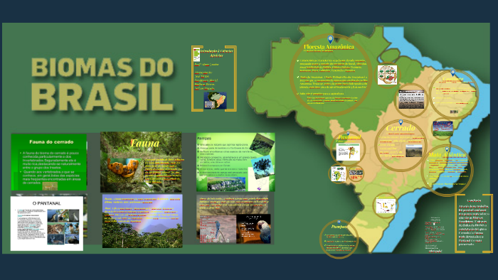 BIOMAS BRASILEIROS by Victor Flores on Prezi Next