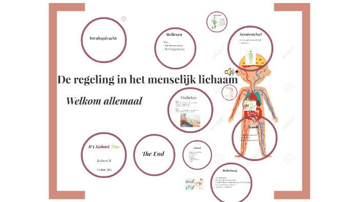 Regeling In Het Menselijk Lichaam By Gulin Gulay