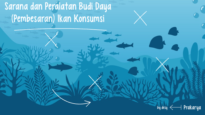 Mengapa Keramba Jaring Apung Merupakan Cara Yang Sangat Baik Untuk Budidaya Atau Domestikasi Ikan Halaman All Tribun Pontianak