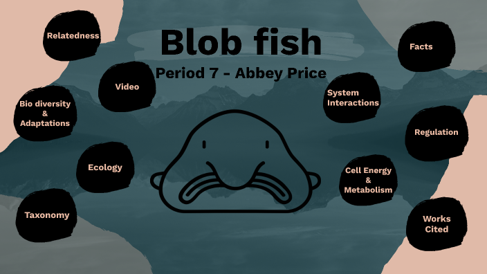 Blobfish, facts and information