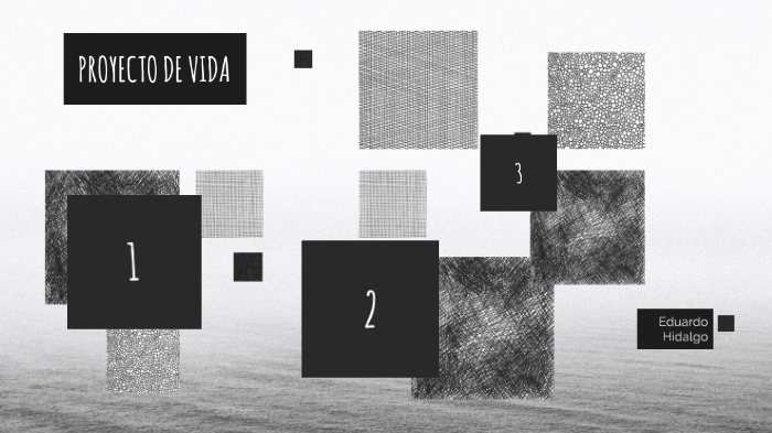Proyecto de vida by Eduardo Hidalgo on Prezi