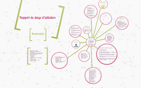 Rapport De Stage D Initiation By Rihab Grami