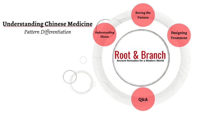 Understanding Chinese Medicine - Pattern Differentiation by Travis Kern ...
