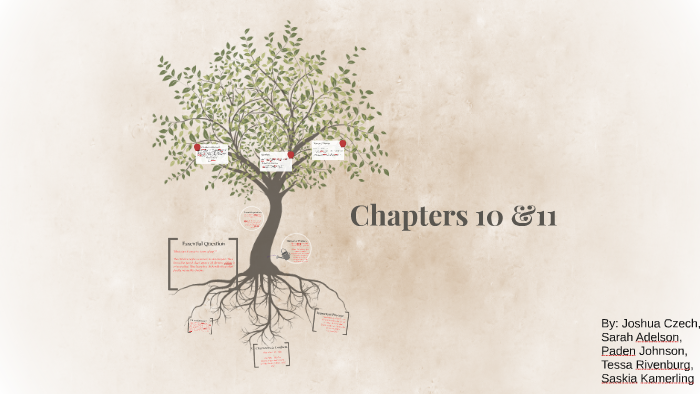 To Kill A Mockingbird Ch 10