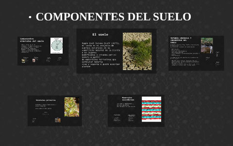 COMPONENTES DEL SUELO by