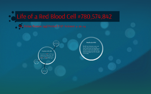 Life of a Red Blood Cell #780,574,842 by Dylan Ramos on Prezi