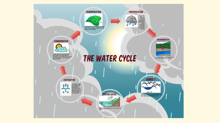 The Water Cycle by mia romero on Prezi