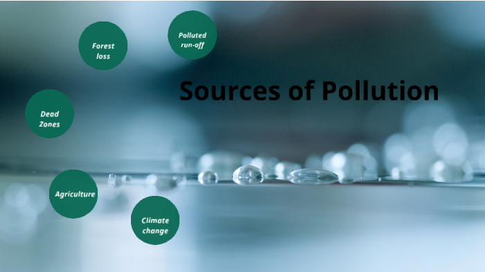 Chesapeake Bay Sources of Pollution by Makenna Saville on Prezi