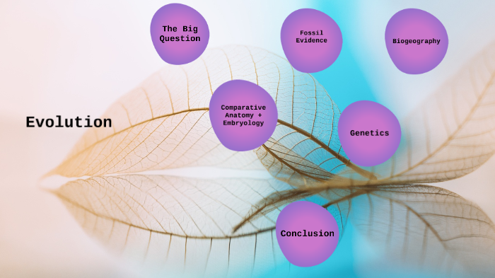 Evolution by Katie Aronson on Prezi