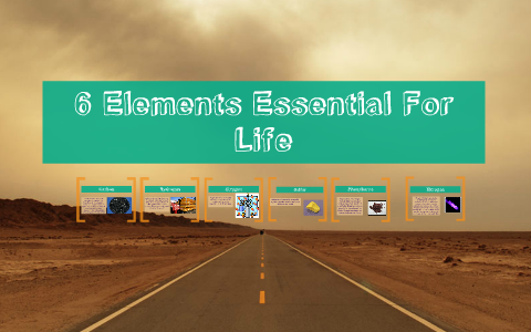 6 basic elements of life