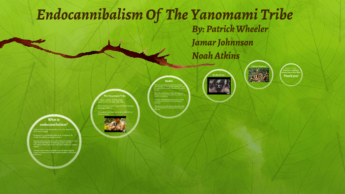 Endocannibalism Of The Yanomami Tribe By Jamar Johnson On Prezi