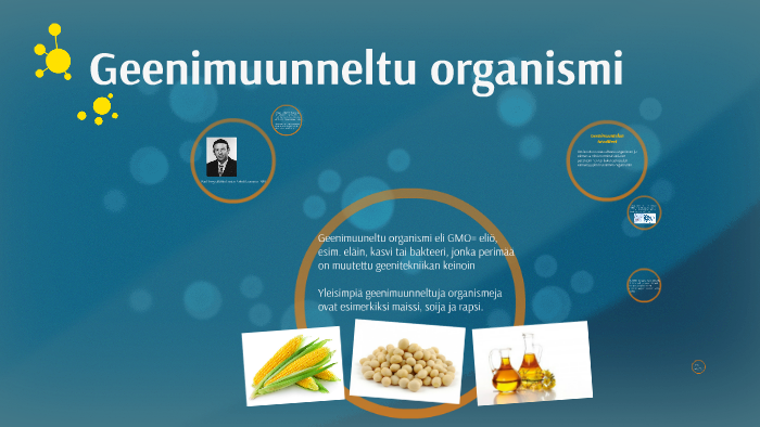 geenimuuneltu organismi eli GMO= eliö, esim. eläin, kasvi ta by Minette  Kvikant on Prezi Next