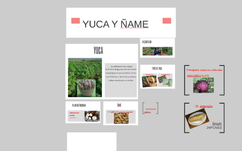 YUCA Y ÑAME by francy vargas on Prezi