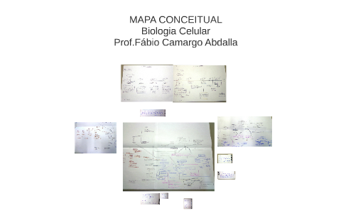 MAPA CONCEITUAL by Daniel Rangel on Prezi