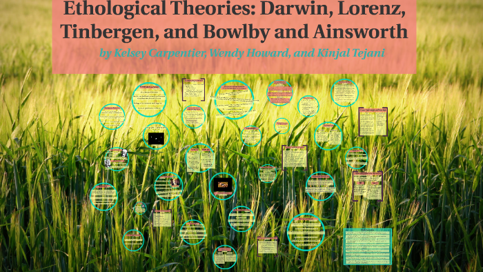 ethological theory of human development