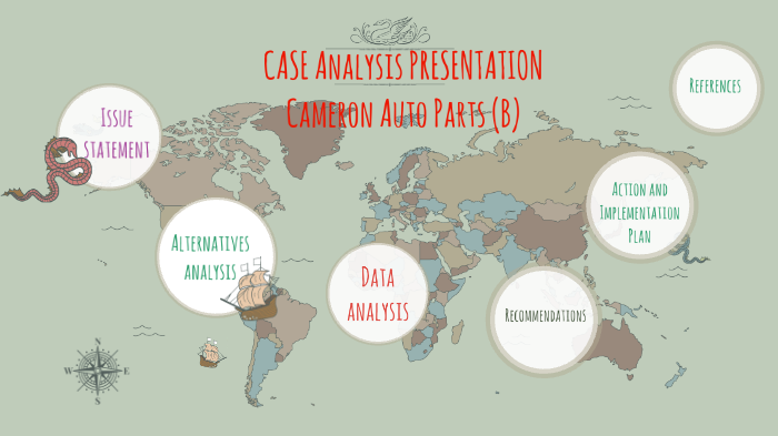 cameron auto parts case study solution