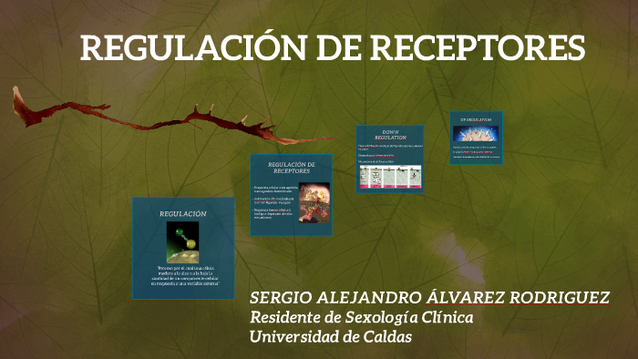 REGULACIÓN DE RECEPTORES By Sergio Alvarez On Prezi Next