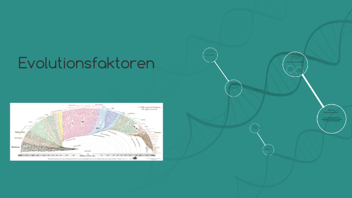 Evolutionsfaktoren by Tilman Wiegers