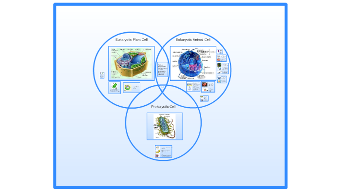 BIO Cell Project by Robert Torrance on Prezi