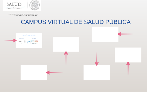 CAMPUS VIRTUAL DE SALUD PÚBLICA By Claudia Iglesias